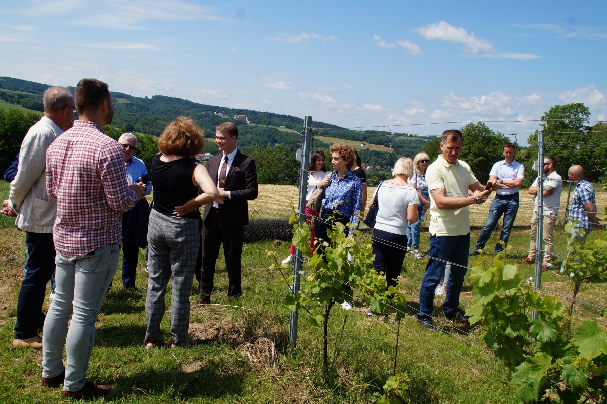 2024 06 spotaknie zespolu enoturystyka 06