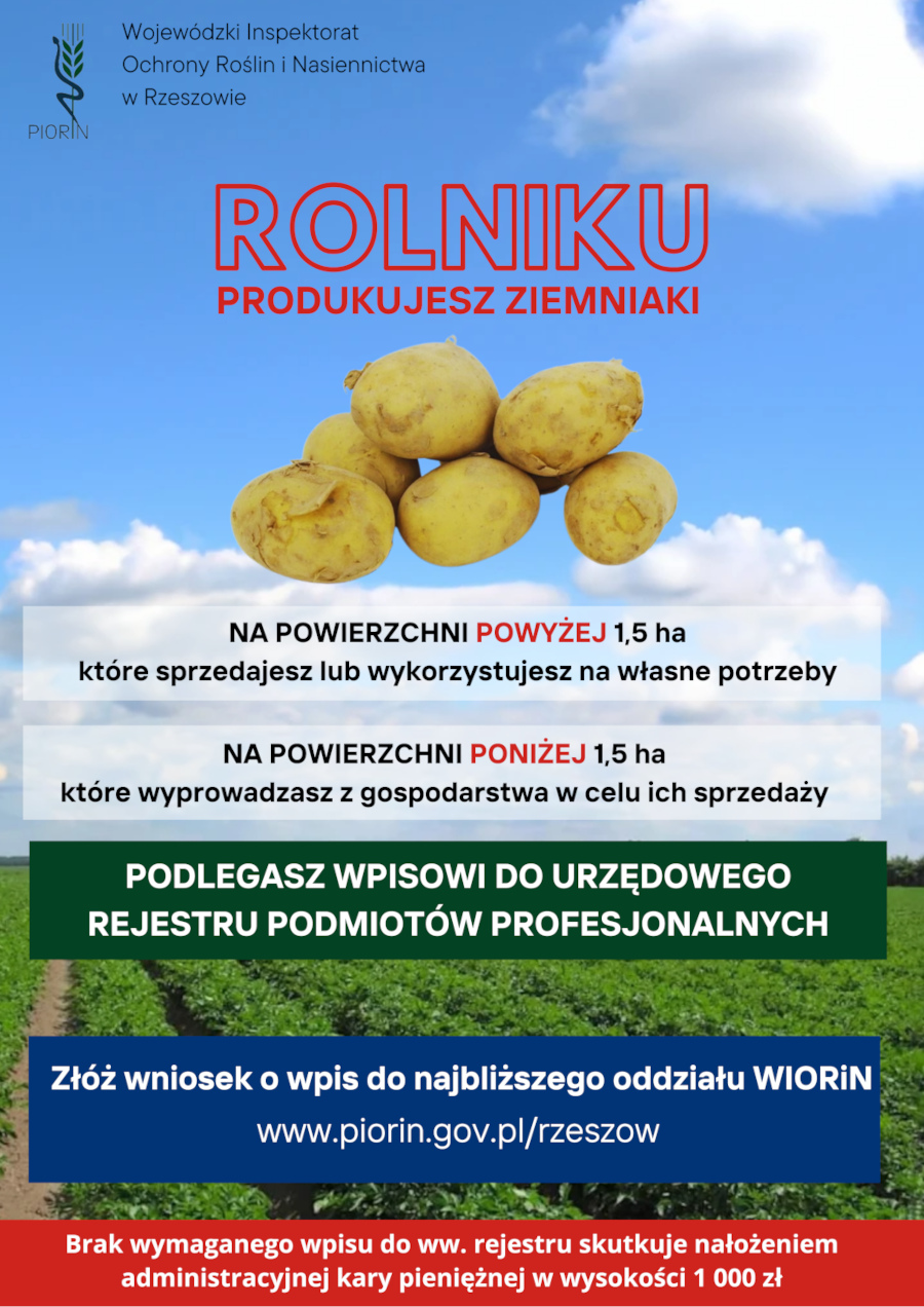 Plakat informacyjny skierowany do rolników produkujących ziemniaki. Na górze logo Wojewódzkiego Inspektoratu Ochrony Roślin i Nasiennictwa w Rzeszowie oraz napis: „ROLNIKU, PRODUKUJESZ ZIEMNIAKI”. W centralnej części grafika przedstawiająca stos ziemniaków na tle nieba. Poniżej tekst: - „Na powierzchni POWYŻEJ 1,5 ha, które sprzedajesz lub wykorzystujesz na własne potrzeby.” - „Na powierzchni PONIŻEJ 1,5 ha, które wyprowadzasz z gospodarstwa w celu ich sprzedaży.” Pod tekstem znajduje się zielony pasek z białym napisem: „Podlegasz wpisowi do urzędowego rejestru podmiotów profesjonalnych”. Na dole plakat zachęca do złożenia wniosku w najbliższym oddziale WIORiN, podając stronę internetową: **www.piorin.gov.pl/rzeszow**. U dołu czerwona informacja o karze administracyjnej w wysokości 1000 zł za brak wpisu do rejestru. W tle dolnej części widoczne pole ziemniaków.