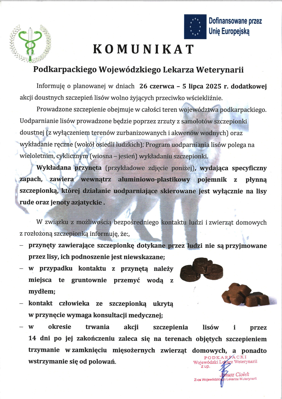 Komunikat Podkarpackiego Wojewódzkiego Lekarza Weterynarii o planowanej akcji doustnych szczepień lisów wolno żyjących przeciwko wściekliźnie, w dniach 26 czerwca – 5 lipca 2025 r. Szczepionka będzie rozrzucana z samolotów oraz wykładana ręcznie wokół osiedli ludzkich. Przynęta (widoczna na zdjęciu w formie brązowych, kostkowatych elementów) wydziela specyficzny zapach i zawiera aluminiowo-plastikowy pojemnik z płynną szczepionką. Komunikat zawiera ostrzeżenia, m.in. aby nie dotykać przynęt, a w razie kontaktu – umyć skórę wodą z mydłem. Zawarte są też zalecenia dotyczące zamknięcia zwierząt domowych i wstrzymania się od polowań. W prawym górnym rogu logo Unii Europejskiej z dopiskiem „Dofinansowane przez Unię Europejską”.